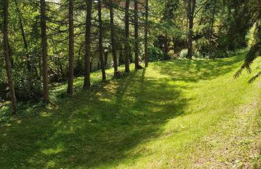 Domki letniskowe pod Brzozami Stella - Photo 23