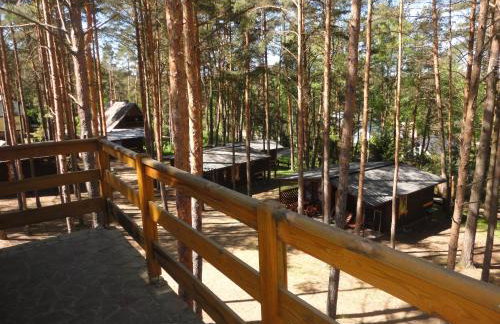 Ośrodek Wypoczynkowy Jaszczurka - Foto 77