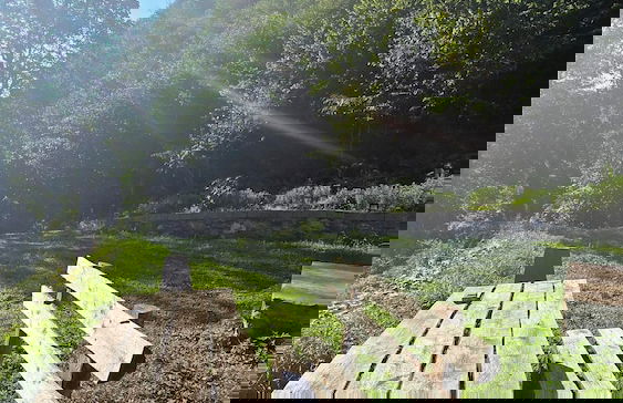 Baraka bungalov - Foto 52