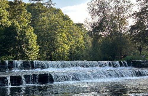 FeWo Burgblick - Foto 8