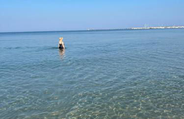 La Conchiglia sul Mare - Foto 63