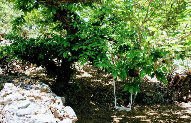 La Casa del Abuelito Julián en El Hierro - Foto 48