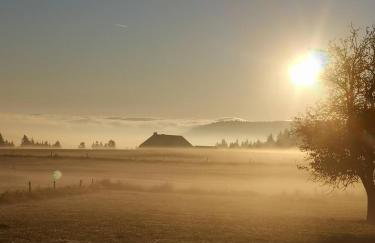 Fewo Fuchs - Foto 26