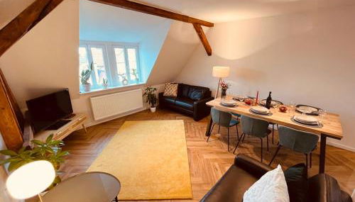 Jugendstil-Altbauwohnung mit Dachterrasse direkt an der Karlsaue - Foto 5