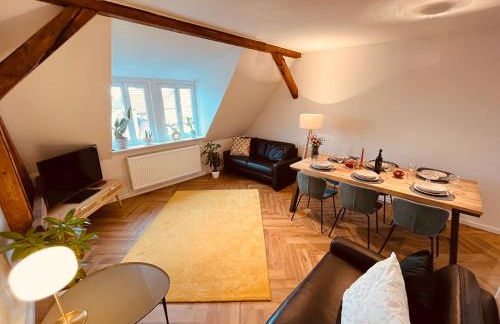 Jugendstil-Altbauwohnung mit Dachterrasse direkt an der Karlsaue - Foto 5