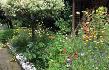 Ferienhaus Namatiri - Foto 20