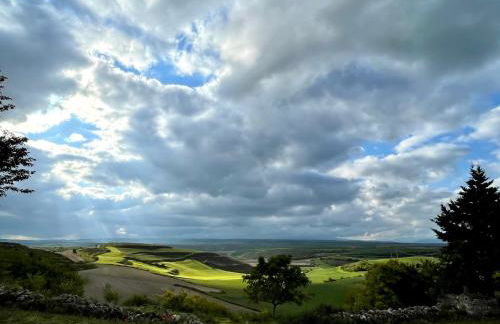 Fresno Vista - Photo 39