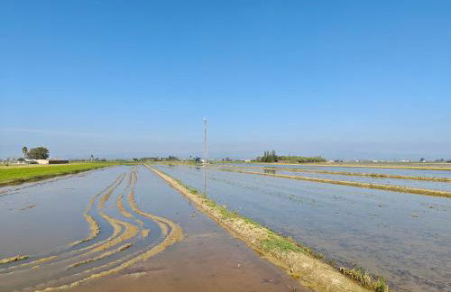 La caseta del canal - Foto 37