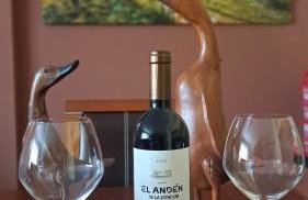 Garnacha Tinta VT-LR-2179 - Foto 1