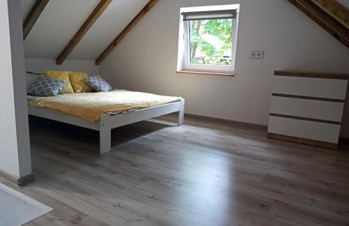 Ośrodek Wypoczynkowy Leśny Zakątek - Foto 26