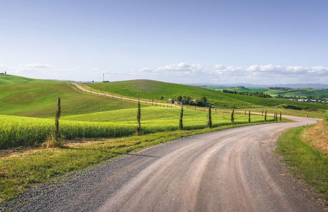 La Palazzina in Monteroni D Arbia - Foto 39