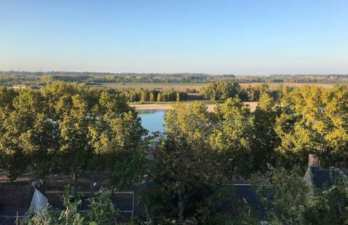 Entre châteaux et vignobles, au bord de la Loire - Foto 26