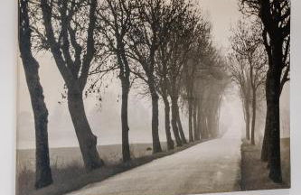 Milton's place Sleeps 5, 10 minutes walk to Royal Mile - Photo 32