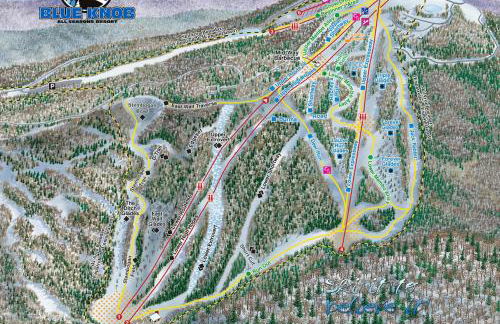 Blue Knob Bear Den (Nordic Center/Golf Course) - Foto 40