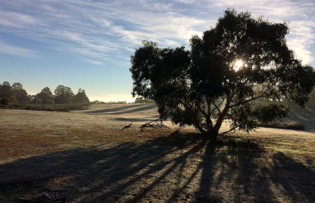 Grampians Pioneer Cottages - Foto 44