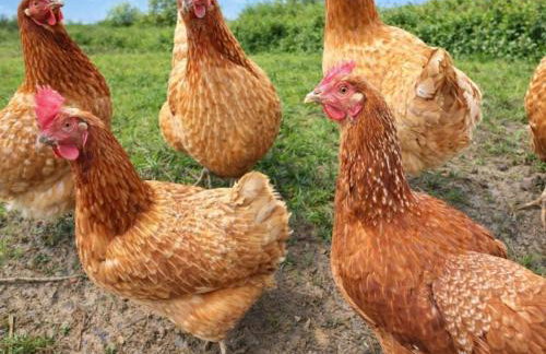 3 Bed in Umberleigh oc-09092 - Foto 20