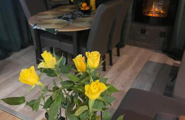 Samsara Domek koło Międzygórza Z sauną i klimatyzacją - Foto 26