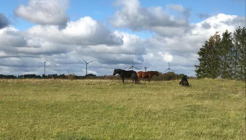 FeWo Eifel - Photo 5