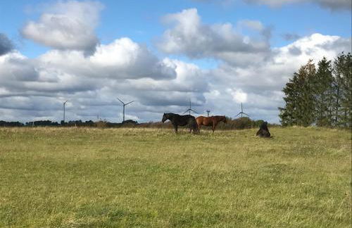 FeWo Eifel - Photo 5