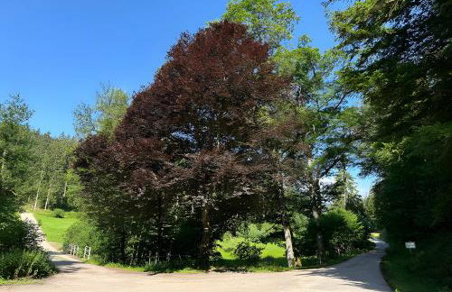 Schwarzwaldhaus Zwink - Photo 25