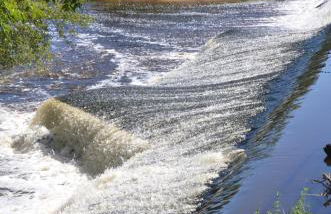 AU BORD DE L'EAU studio 1 - Photo 9