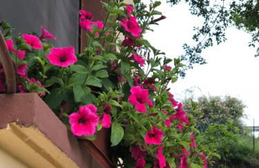 Casa rural en plena naturaleza Lic UVTR1524 - Photo 33