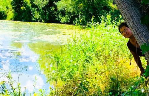 Tinyhaus im Altmühltal - Foto 9