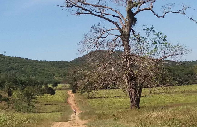 Bosque das Águas Bike Tour - Photo 7