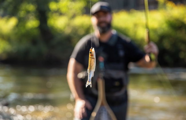 Springmaid Mountain - Foto 35