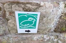 Alte Schule in Trulben - Foto 15