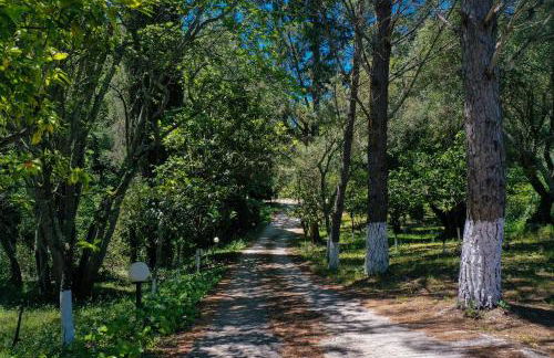 Postatiko Holiday Home Central Corfu - Foto 63