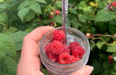 Large Farmhouse near RA, Kohler and Golf. Exclusive amenities and room for all! - Foto 6