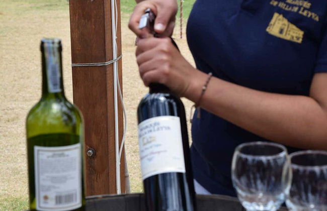 Visita ao vinhedo Marqués Villa de Leyva - Foto 8