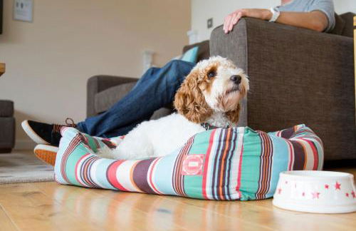 Lakeside House on Retallack Resort with Hot Tub 110 - Foto 41