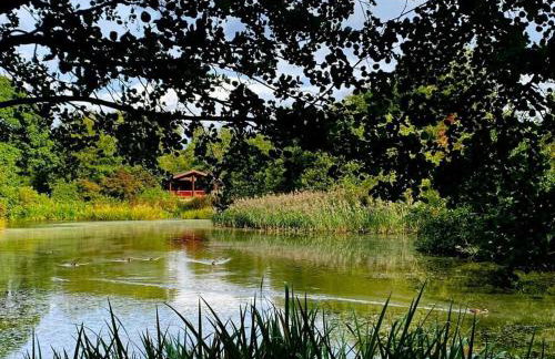 Laura's Lodge Hot Tub Log Cabin, Felmoor Park, Morpeth, Northumberland - Photo 14