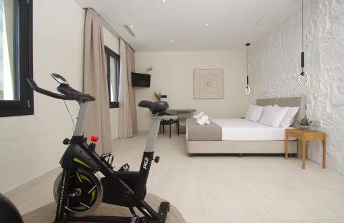 Pnoe Villas Syros - Foto 42