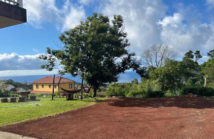 Biscoitos Top View - Photo 10