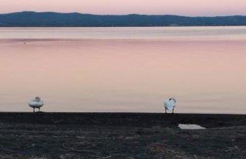 LA CHASCONA DI FARNESE casa di tufo nel borgo - Foto 58
