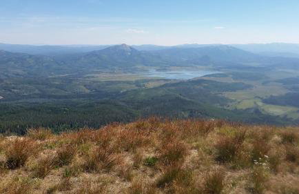 Jack Rabbit - Foto 19