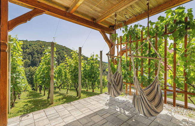 Luxury Vineyard Retreat Matej - Foto 14