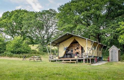 Tent 1 Deerland - Ukc4716 - Foto 1