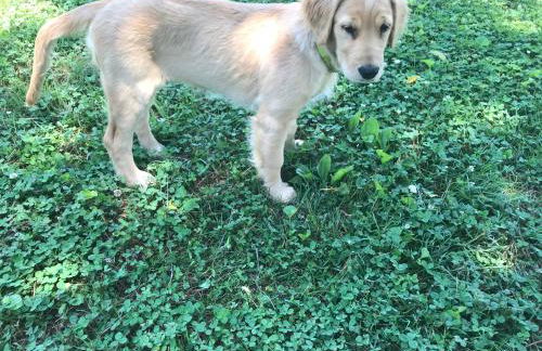 Full Circle Farm Inn - Foto 25