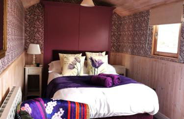 Shepherd's Hut at Cefn Tilla Court - Foto 8