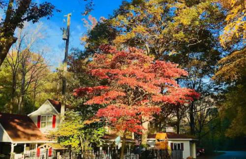 Moonshine Creek Too - Foto 24