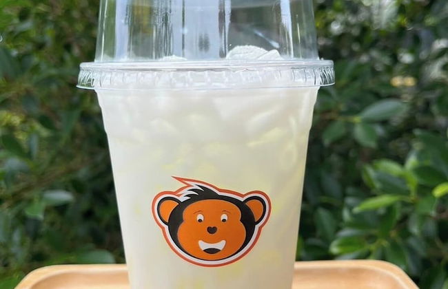 Monkey Cottage - Photo 54