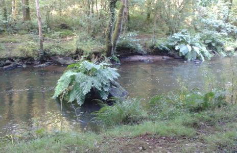 Gîte Ti-Gwennel - Photo 40