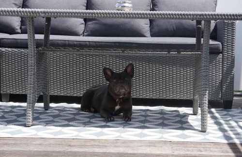 Spacious Penthouse with AC and Free Parking Steps Away From the Central Station - Foto 54