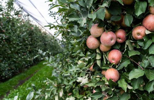 Hotel Agriturismo Al Luogo Del Giulio - Foto 101