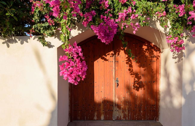 Aquaria Villa - Foto 49