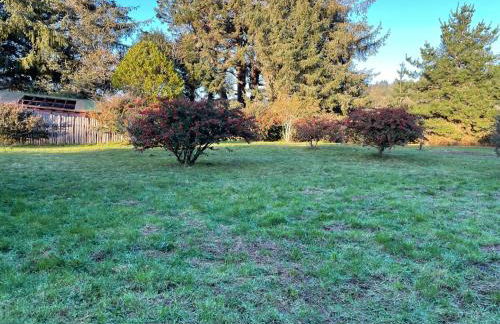 Surfside Beach House near Ancient Redwoods - Foto 3